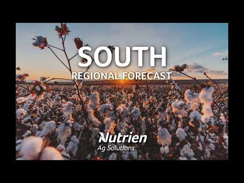 Southern Region Ag Forecast - July 12, 2019
