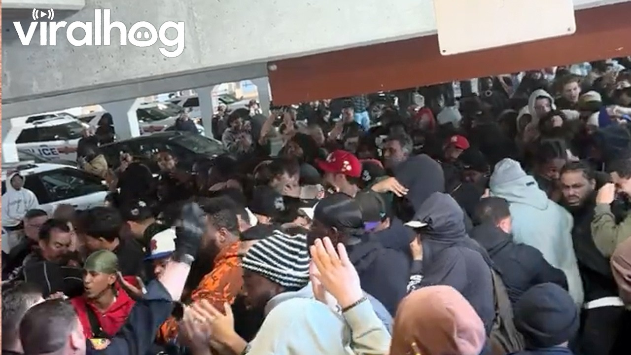 Chaos as Police Pepper Spray Unruly Watch Crowd at Long Island Mall || ViralHog