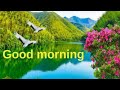 Good Morning Good Morning Wishes Good Morning Images Good Morning Video Status Pls Do Subscribe