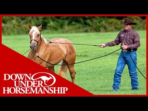 Clinton Anderson: Training a Rescue Horse, Part 1 - Downunder Horsemanship