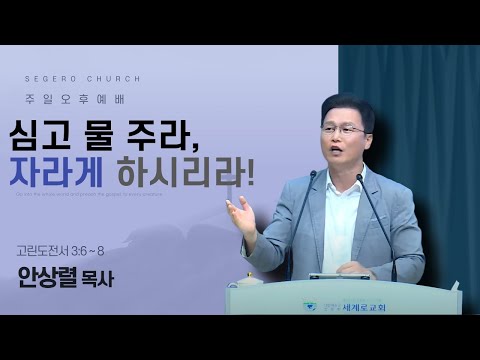 [2025-07-13] 주일오후예배 안상렬 목사 : 심고 물 주라, 자라게 하시리라! (고전3장6절~8절)