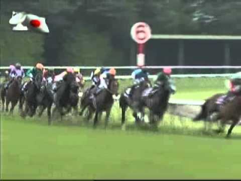 5 June 2011 Yasuda Kinen  Asian Mile Challenge - Real Impact