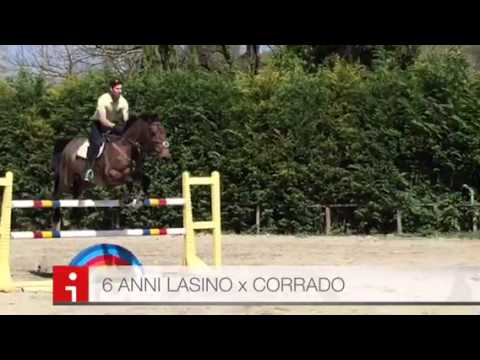 6 anni LASINO X CORRADO