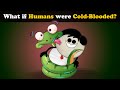 What if Humans were Cold-Blooded? + more videos | #aumsum #kids #science #education #children