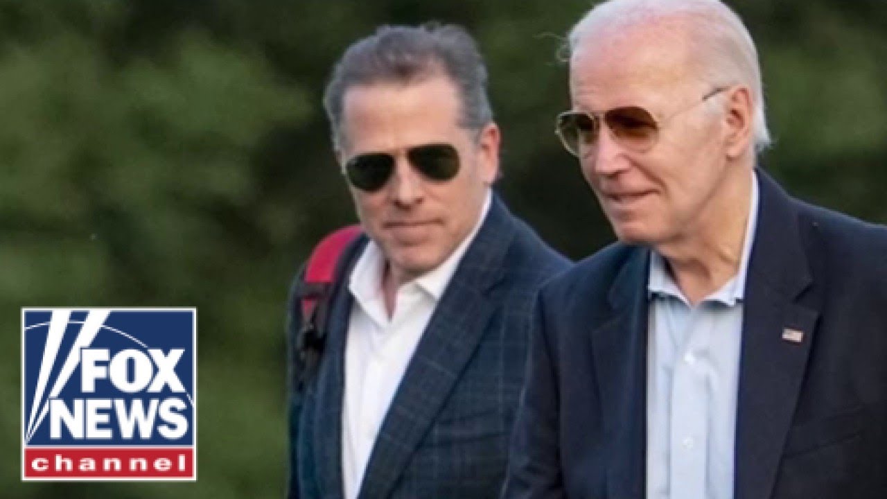 'LIVING HELL': Former Hunter Biden whistleblower describes IRS under Biden admin
