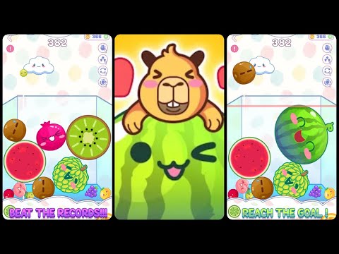 Watermelon Drop: Fruit Merge Gameplay Video for Android Mobile - YouTube