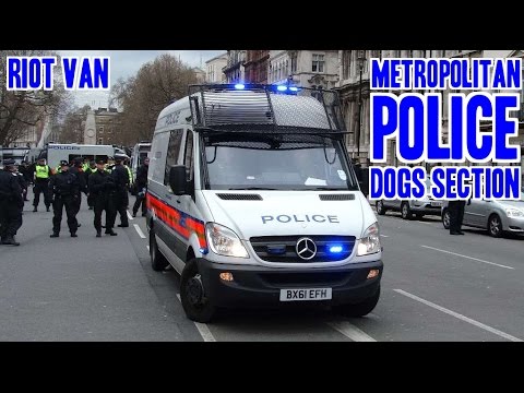 Police dog vans responding with siren and lights