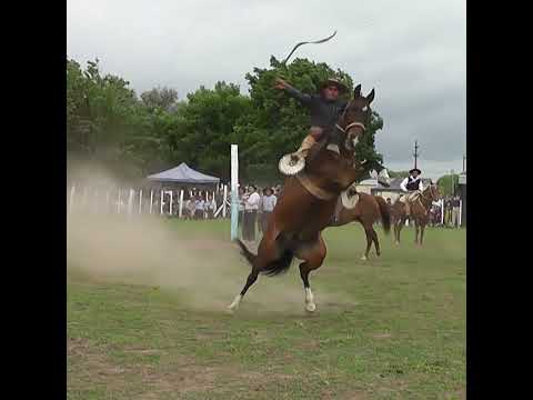 Monta en basto quedo ENGANCHADO en Colonia Mascias Santa Fe
