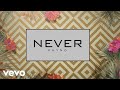 Phyno - Never (Official Lyric Video)