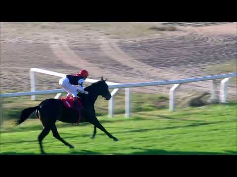 220618 c06 SUPERB (BRZ)