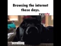 Scrolling Through The Internet