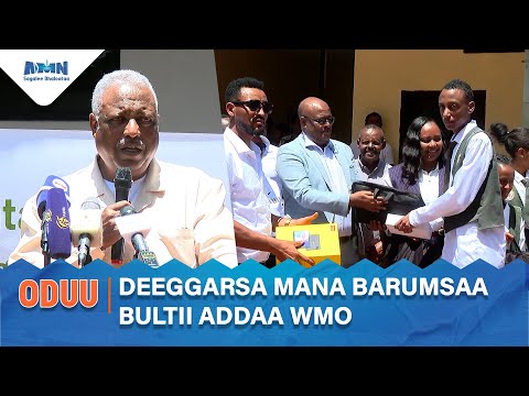 Addis Media Network (AMN) TV