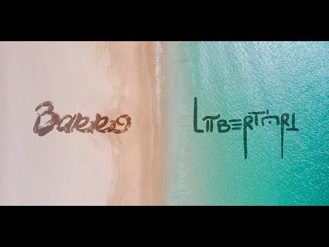 GriLocks - BARRO / LIBERT'ART