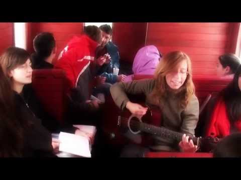 Cati si prietenii - Pat de flori