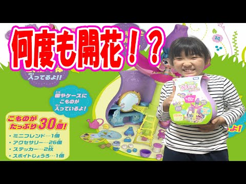 パッカ！何度も発芽できちゃう！進化したブルーミーポット スイートデコハウスがたのしすぎる！サプライズトイ!クリスマスプレゼントにピッタリ！