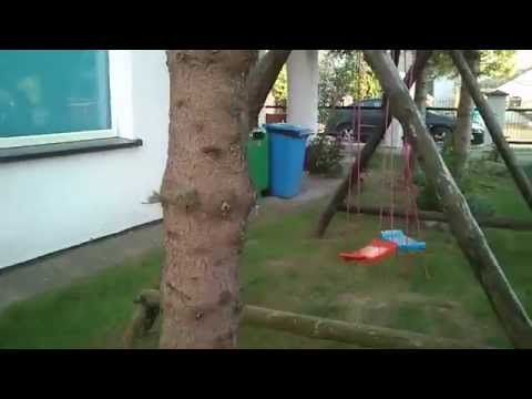 POKOJE GOŚCINNE WANDA W DARŁOWIE - OGRÓDEK I PLAC ZABAW 08.mp4