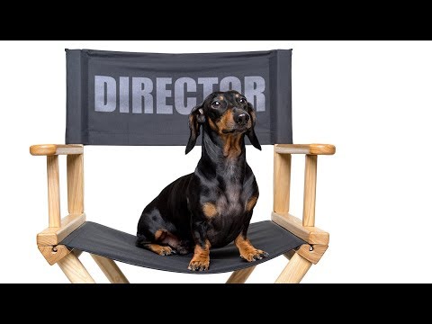 Backstage of Doxie Din shooting vol. 1!