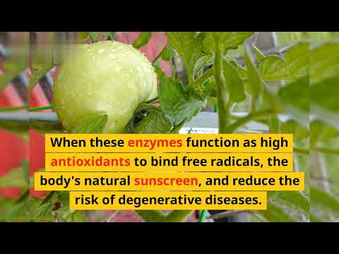 TOMATOES ARE TRULY AMAZING#sayuran #faktaunikdanmenginpirasidunia #faktarandom #faktaunik