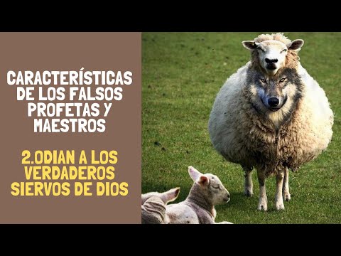 Características de un Falso Profeta 2 - Odian a los Siervos de Dios