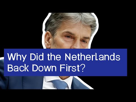 19 days!China win!The Netherlands Will Return Control of Nexperia!Why  Back Down First？