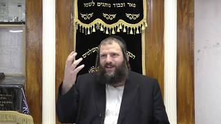 חוצפה מופרזת וייאוש טוטאלי - פרי צדיק פרשת זכור אות א' עם הרב דוד משה בלוי