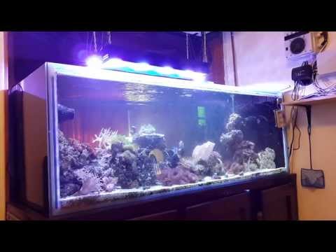 2 x 50w ebay leds with 40 of stevesleds.com 3w leds