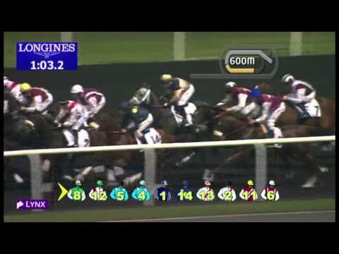 03.01.2013 Meydan (Dubai-UAE) 5.Race Hartog Trophy - 1.600 m