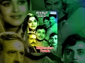 Mallammana Pavada Kannada Full Movie Kannada Movies Full Dr Rajkumar B Sarojadevi