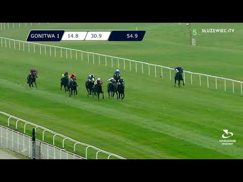 12.11.2022 - (Dzień 45; Gonitwa 1)