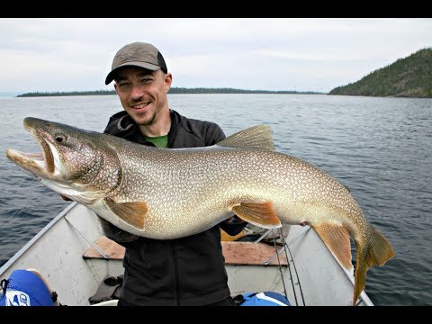 download lagu mp3 mp4 Frontier Canada Inc, download lagu Frontier Canada Inc gratis, unduh video klip Frontier Canada Inc