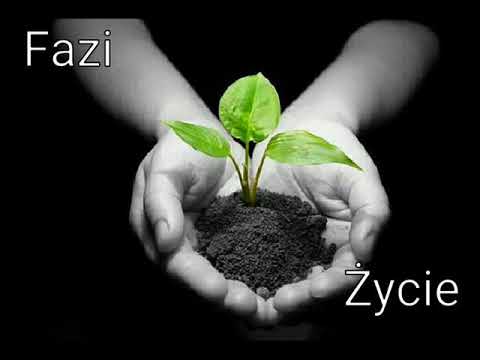 FAZI - ŻYCIE  beat.Internet