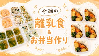 今週の離乳食&お弁当作り/vlog/生後9ヶ月/冷凍タッパー弁当