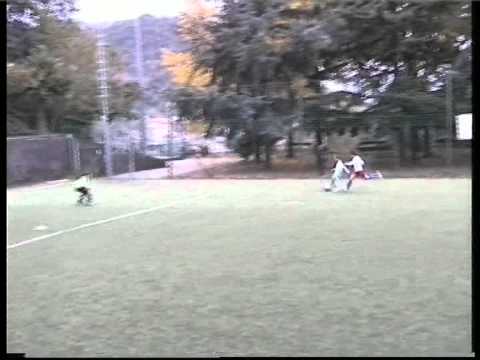 FIGENPA - MOLASSANA PULCINI 2001