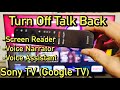 Sony TV Google TV How To Turn Off Talk Back Screen Reader