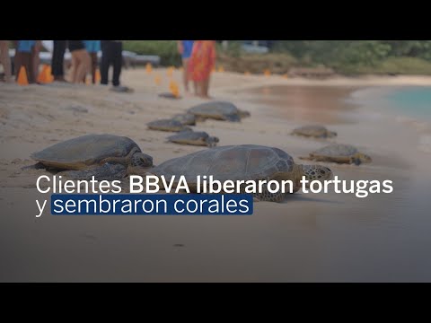 Clientes de la Tarjeta de Crédito Coral en Isla Múcura