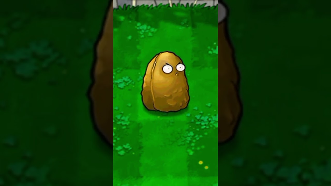 The Tall-nut Evolution - PVZ VS PVZ2
