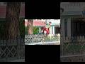 UPPUM MULAKUM Keshu Gauri Fight Uppummulakum Comedy Foryou Keshu Gauri