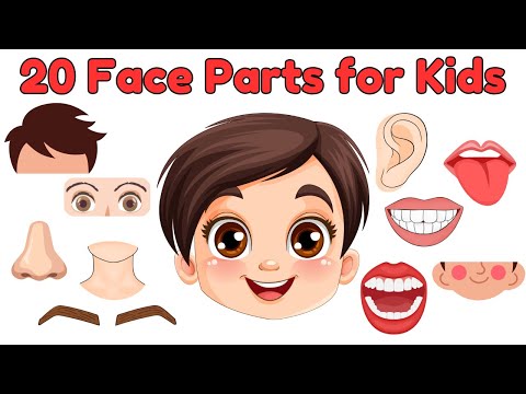 Learn 20 Face Parts Vocabulary for Kids | Learn Facial Body Parts Names in English | Learn with Fun