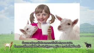 แพะ ตอนที่ 6: ตลาดของเนื้อแพะ