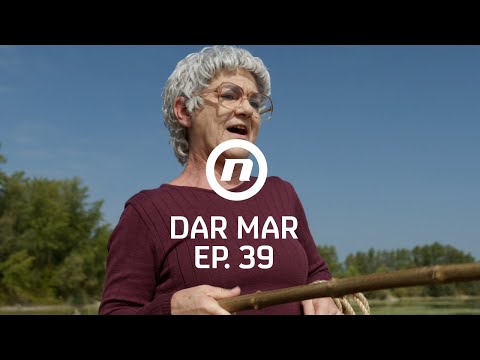 Škola plivanja u Dizmovu - Dar Mar - epizoda 39