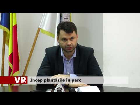 Încep plantările în parc
