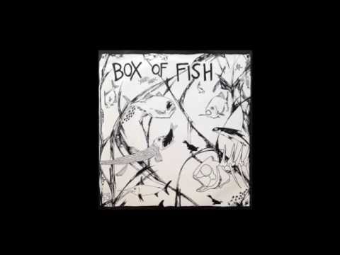 Box of Fish- Erosion