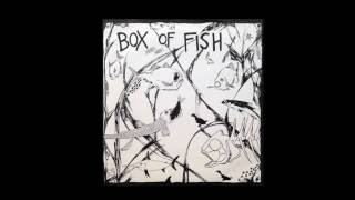 Box of Fish- Erosion