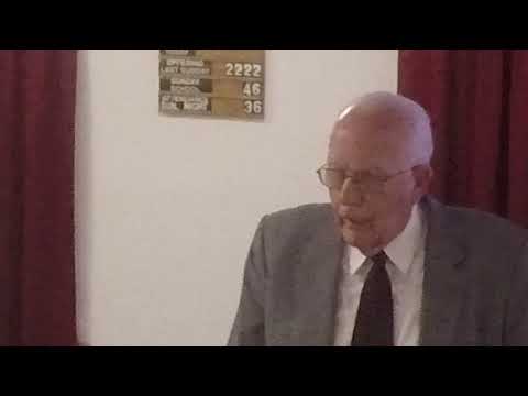 Four Wise Little Creatures