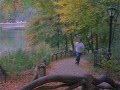 I Ran Across The Park For Her