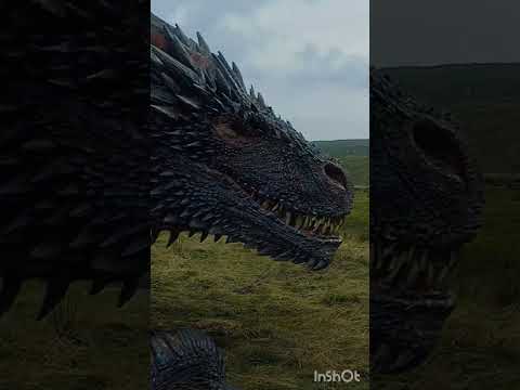 drogon vs vhagar🐉🐉 #drogon#vhagar#got#houseofthedragon#dragons#vs#fire#edit#fight#choose#shorts#hbo