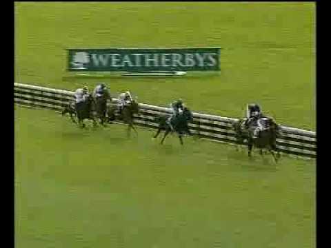 Giant’s Causeway - Juddmonte International Stakes (Gr.1)