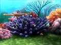 Finding Nemo Drop Off
