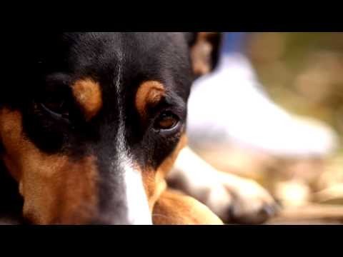 974_Boobz - Roule ton bedo