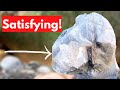 Fossil Ammonite Cracked Open #shorts